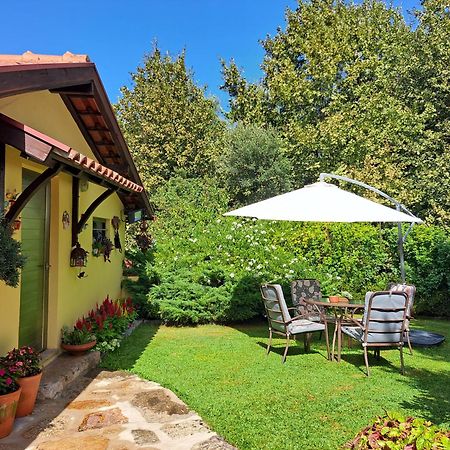 Quinta De Carcavelos Agroturismo E Enoturismo Celorico De Basto Exterior foto